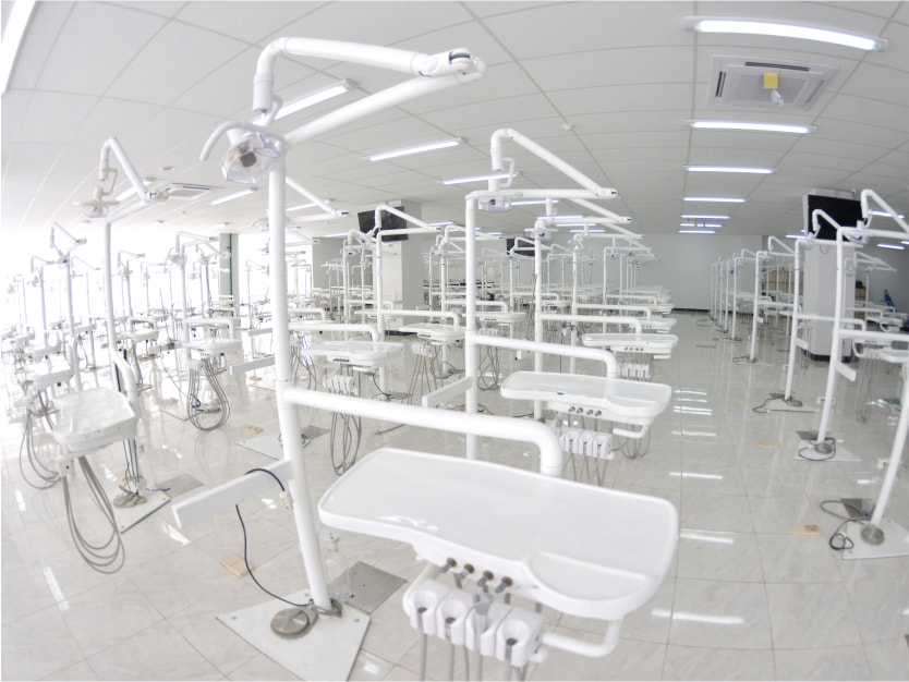 Dental Simulator